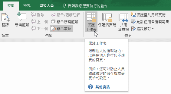 在「變更」區塊選擇「保護工作表」