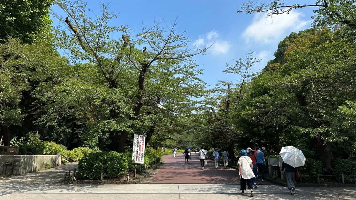 上野恩賜公園：賞櫻、動物園、神社、美術館