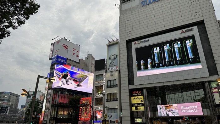六、3D立體貓咪