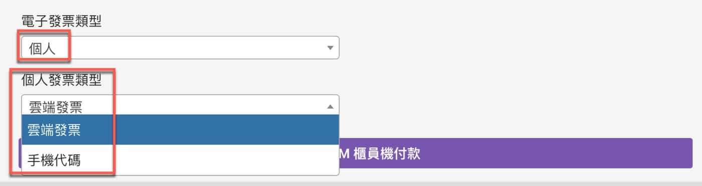 五、個人發票類型